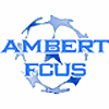 Ambert Football Club Union Sportive