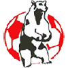 Tarbes Stado Football