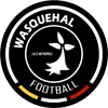 Wasquehal Football
