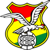 Federacin Boliviana de Ftbol