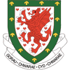 The Football Association of Wales Limited