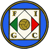 Federazione Italiana Giuoco Calcio
