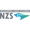 Nogometna Zveza Slovenije